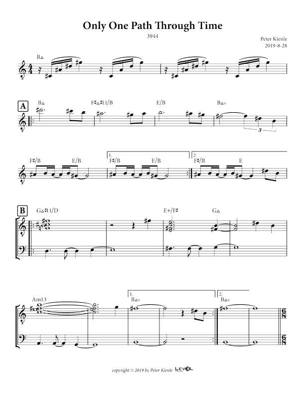 Only One Path Through Time