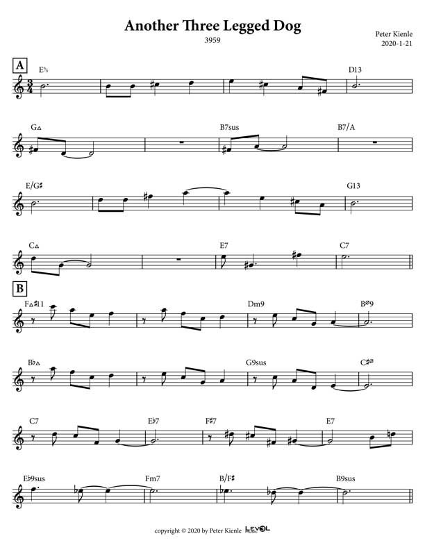 Another Three Legged Dog