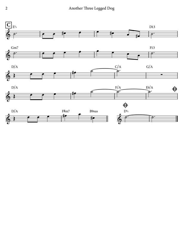 Another Three Legged Dog