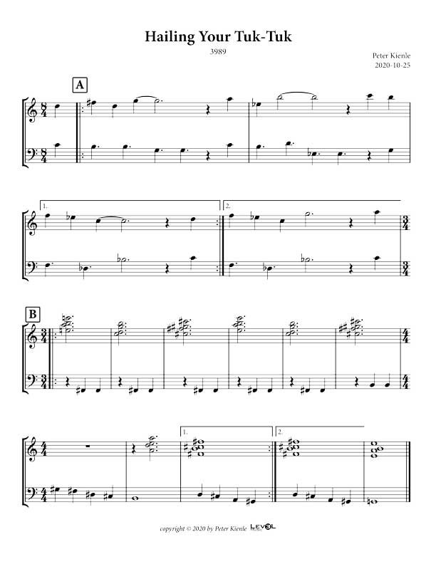 Hailing Your Tuk-Tuk.pdf